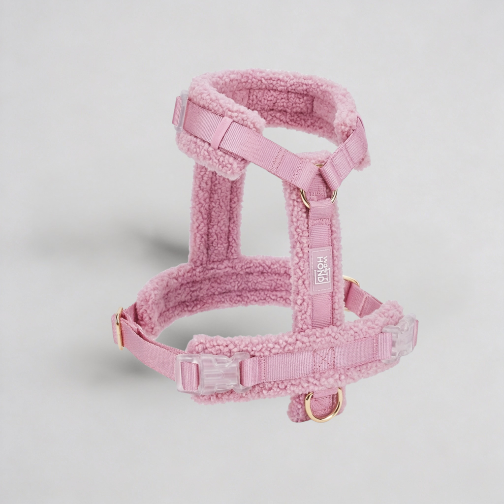 Hundegeschirr-Set Teddy Rosa-1