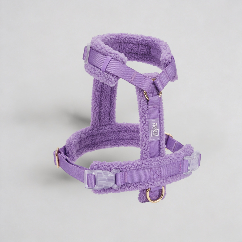 Hundegeschirr-Set Teddy Violett-1