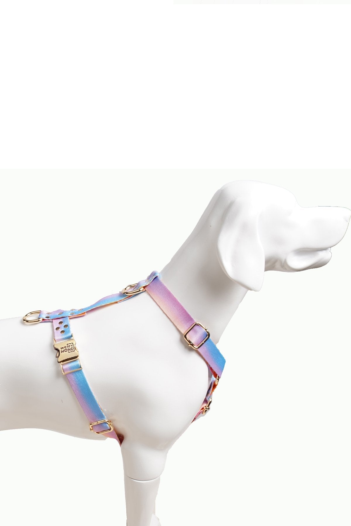 Hundegeschirr Aurora-2